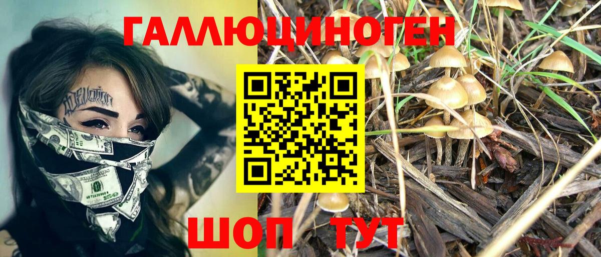 Галлюциногенные грибы мухоморы Коркино